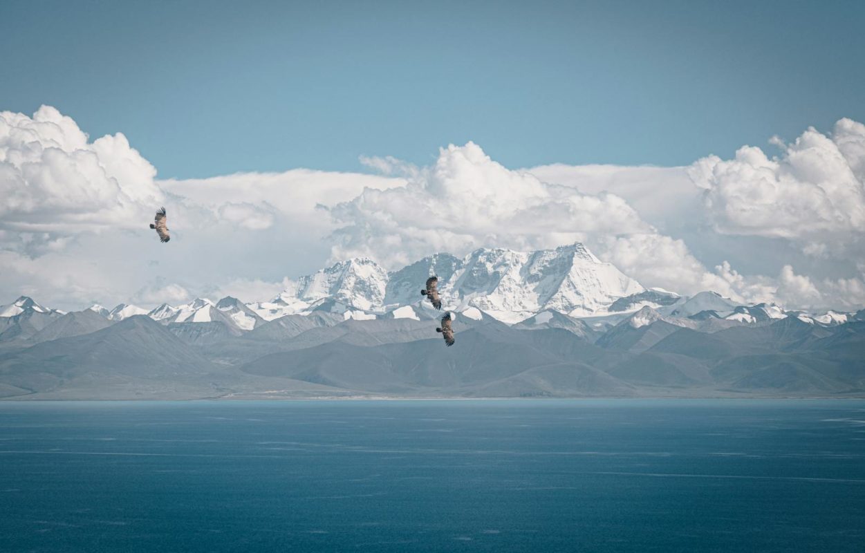 Scenic view of snowy Tibetan mountains and soaring birds over a tranquil ocean.